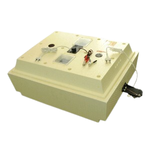 Фермерское хозяйство