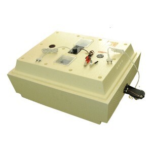 Фермерское хозяйство